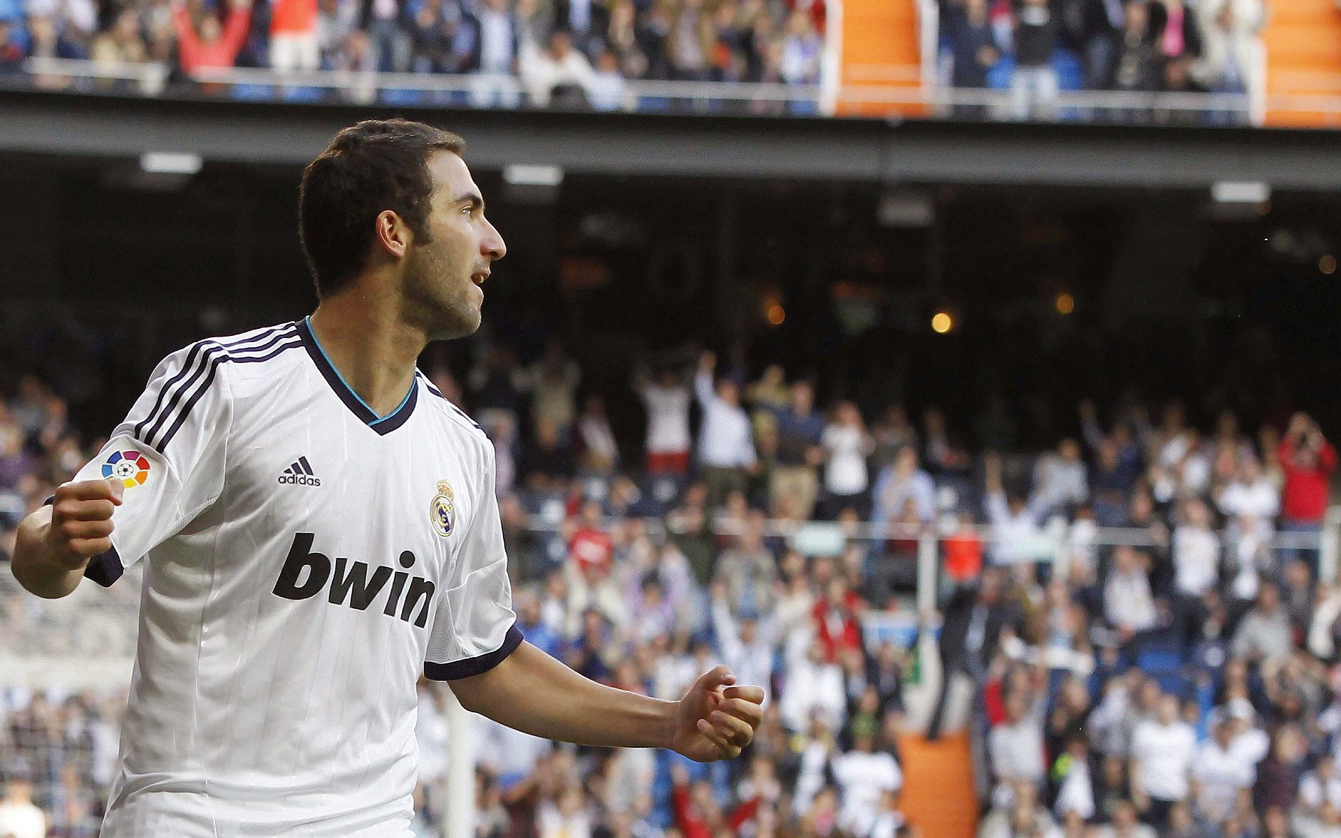 体育志愿者培训手册正式发布，体育赛事志愿者培训包括哪些内容